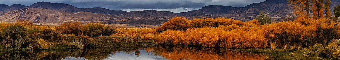 Golden hour over the high desert